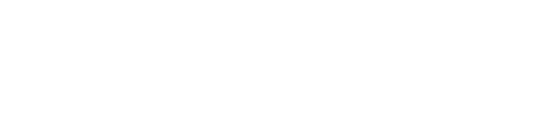 ARAUDRIVE